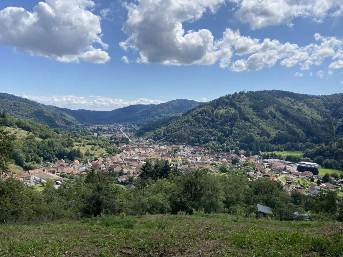 Вілла Les Noyers Du Wissbach Willer-sur-Thur Екстер'єр фото