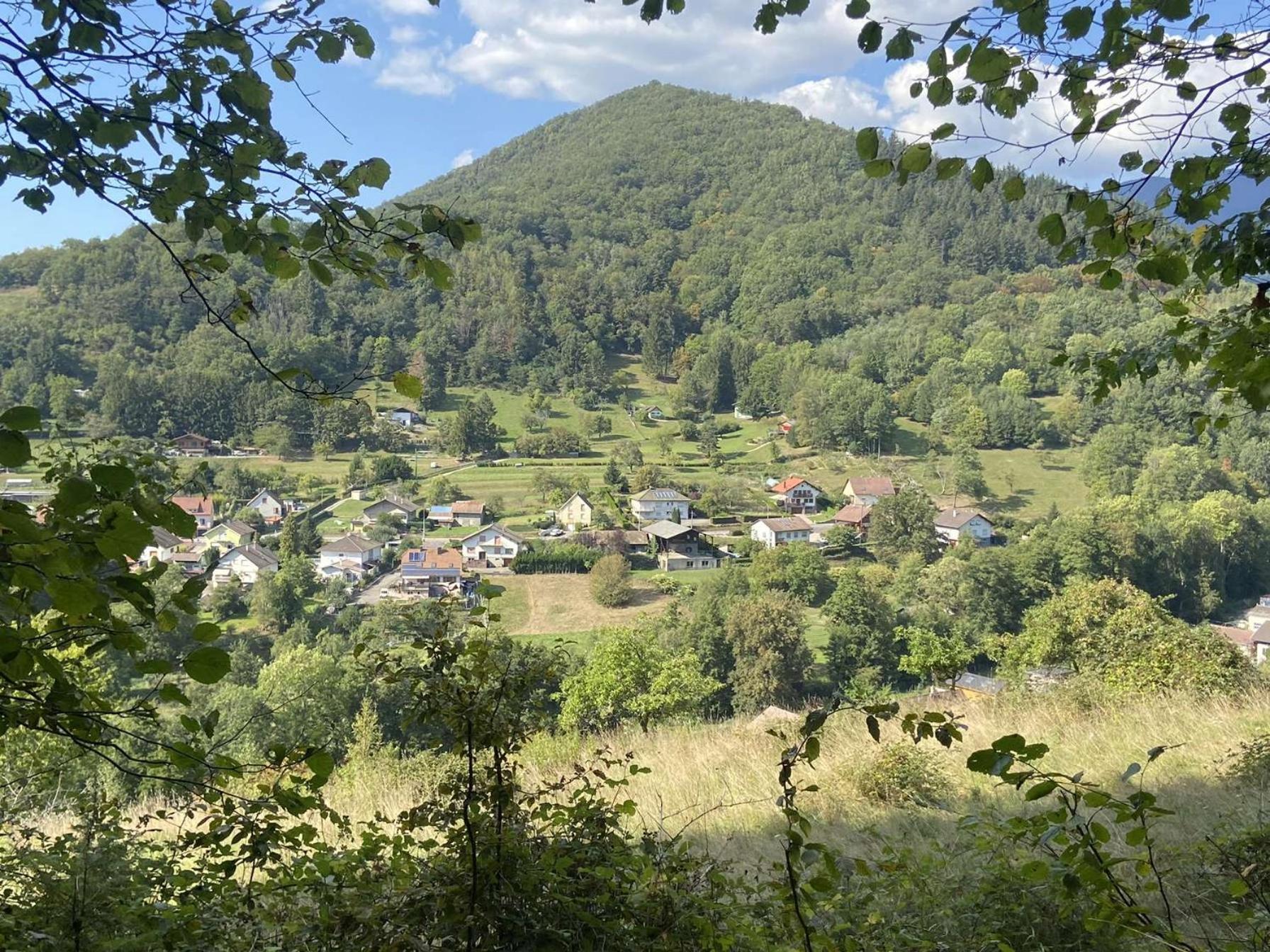 Вілла Les Noyers Du Wissbach Willer-sur-Thur Екстер'єр фото