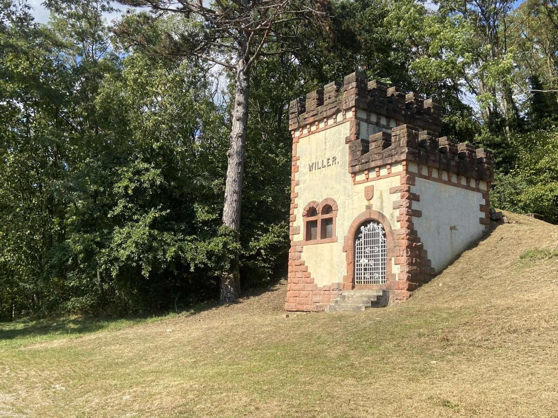 Вілла Les Noyers Du Wissbach Willer-sur-Thur Екстер'єр фото